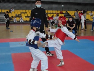 Results of the Championship among youths and cadets in taekwondo